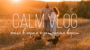 ТИХИЙ ОСЕННИЙ ВЛОГ|осень в горах|корги путешествуют|Букля|уютный влог|первый снег