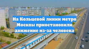 На Кольцевой линии метро Москвы приостановили движение из-за человека