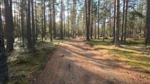 #96-18 Off-road Орехово - Ладога | KTM | Kove | BMW | Voge | GR500 | Husqvarna | CF-Moto | Honda