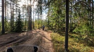 #96-19 Off-road Орехово - Ладога | KTM | Kove | BMW | Voge | GR500 | Husqvarna  | CF-Moto | Honda