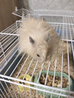 следующея трансляция когда наберётся 20 просмотров!!