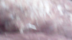 Кормление курочек 17 сентября 2025 - вечером