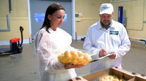 ГК «Дмитровские овощи». Часть третья. Большие перспективы