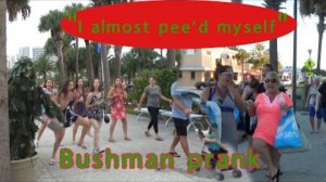 teambushman almost pissed my self