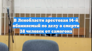 В Ленобласти арестован 14-й обвиняемый по делу о смерти 38 человек от самогона