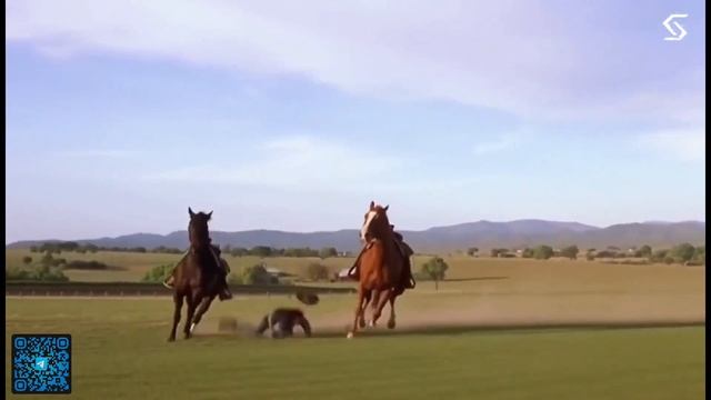 Sora 2 - только в SYNTX [пока только WEB, БOT - скоро] ссылка в описании или сканируйте код. смотреть онлайн