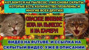 КОТ БОИТСЯ НА ПЫЛЕСОС (ВСЕ ЧАСТИ), СНОВА СКРЫТЫ ИЗ-ЗА КОЛИЧЕСТВО ПРИЧИНЫ! 02.10.2025г.