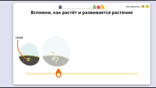 Окружающий мир на учи ру