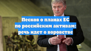 Песков о планах ЕС по российским активам: речь идет о воровстве