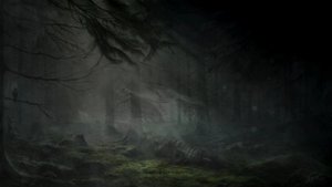 01 - Forest Sonata