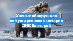 Ученые обнаружили самую древнюю в истории ДНК бактерий