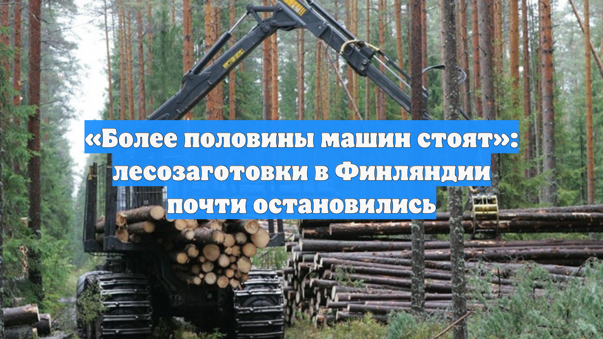«Более половины машин стоят»: лесозаготовки в Финляндии почти остановились