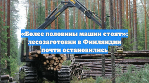 «Более половины машин стоят»: лесозаготовки в Финляндии почти остановились
