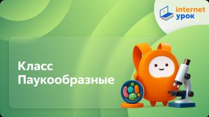 Класс Паукообразные. Видеоурок по биологии 7 класс