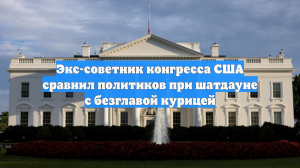 Экс-советник конгресса США сравнил политиков при шатдауне с безглавой курицей