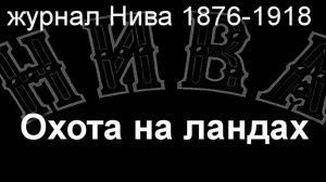 Охота на ландах. описание  журнал Нива 1876-1918