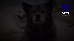 Шапка сайта