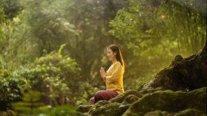 Relaxing Hang Drum Mix - Positive energy - Deep Meditation Shofik- Silent Reflections