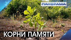 Зеленая летопись: к годовщине воссоединения с Россией в Донецке высадили клёны и дубы