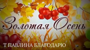 Осенняя поляна.
Грибы маслята.