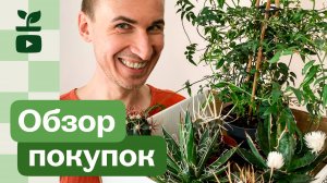 Свежие покупки из садового центра! Обзор моих новинок