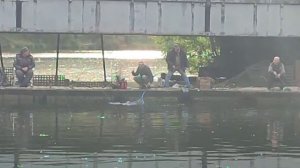 Серый мост