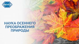 ПОЧЕМУ ОСЕНЬЮ ЛИСТЬЯ МЕНЯЮТ ЦВЕТ?