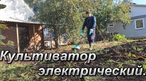 Дела огородные.  Обкатываю электрический культиватор.