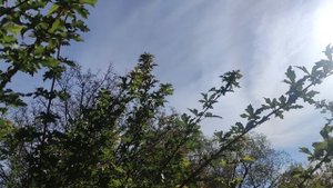 1 октября прогноз от волшебника 🧙 1 октября...