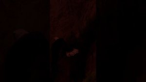 Твоё пока внутри
АннаКапач