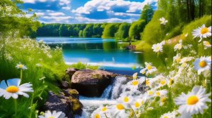 Божественные аффирмации или настрои помогут тебе изменить жизнь! начни новый год с провозглашени!