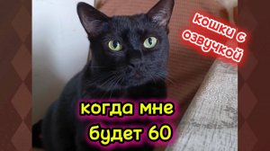 Кошки с озвучкой.