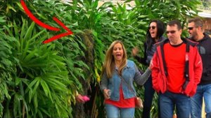 Bushman Scare Prank at Tampa Bay Buccaneers vs Arizona Cardinals