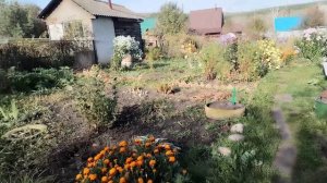 Главное осеннее дело в огороде сделали,спасибо дочери.🥰