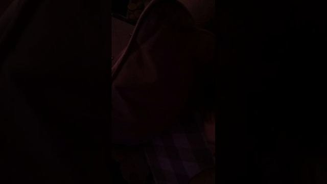 животные