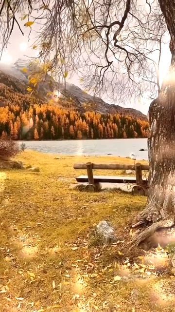 ОСЕННИЕ ЗАРИСОВКИ 🍂🍁ЛЮБУЕМСЯ КРАСОТОЙ ОСЕНИ❤ смотреть онлайн