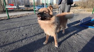 Цена безответственности