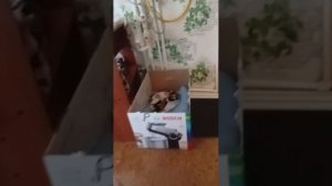 В ТАКОМ ДОМЕ Я ЖИВУ,ТОЛЬКО ОН НЕ ПРЕДНАЗНАЧЕН ДЛЯ ИНВАЛИДОВ,КАК ДАЖЕ НЕ МОГУ ВЫЕХАТЬ НА УЛИЦУ САМ.