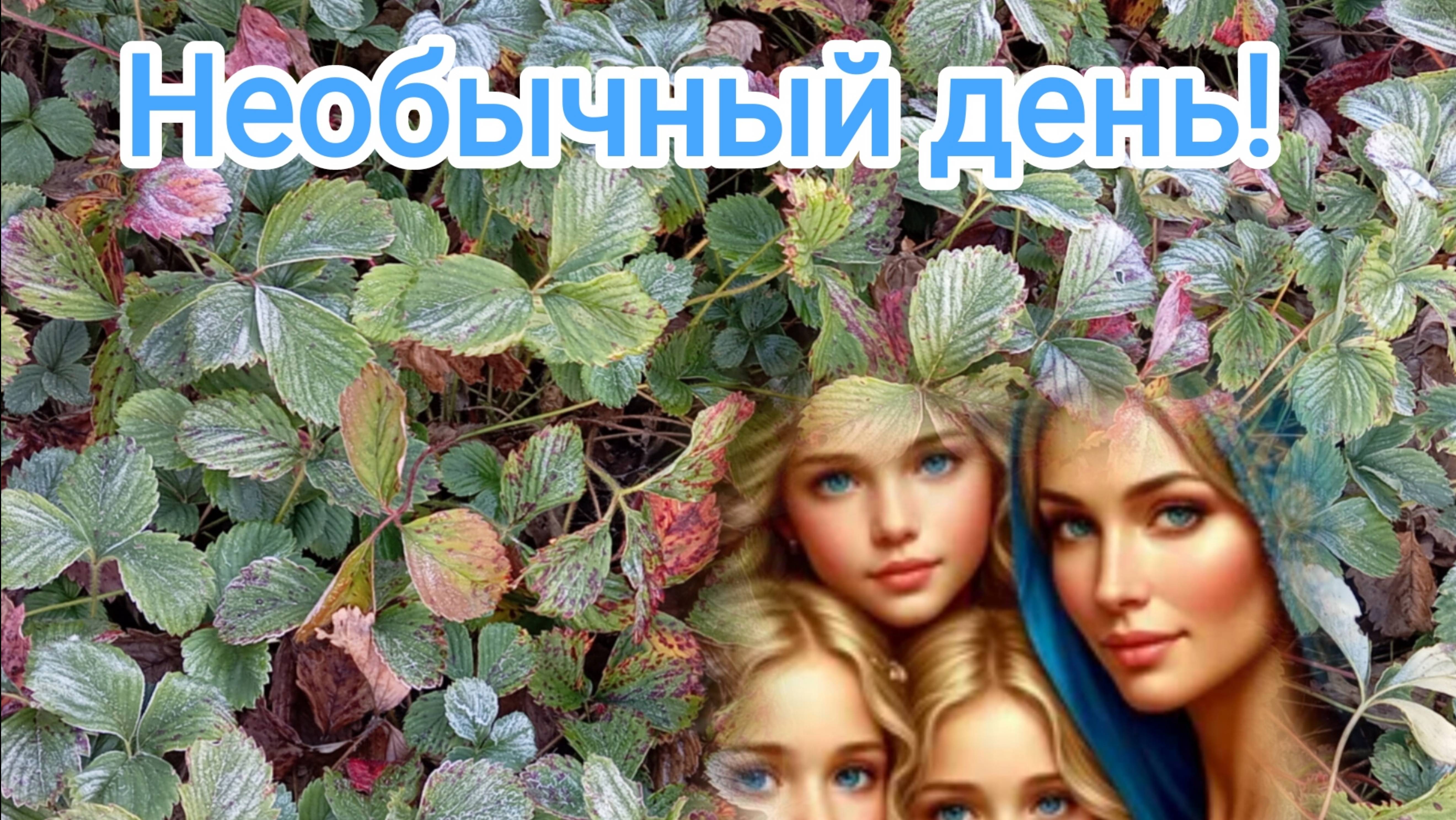 Необычный день
