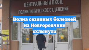 Волна сезонных болезней на Новгородчине схлынула