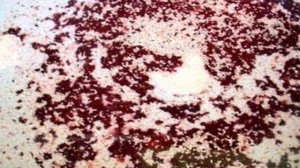 Квас из варенья