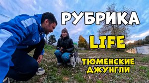 ТЮМЕНЬ/ОСЕНЬ/СТИХИ/ОЗЕРО/КОТ/ПРИКЛЮЧЕНИЯ/ЛЮБОВЬ/УТКИ