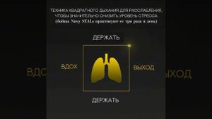 Снимаем стресс за пять минут — в сети хайпит метод «дыхание по квадрату» от бойцов спецназа