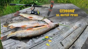 Рыбалка на малой речке практически в черте города, р.Ласьва