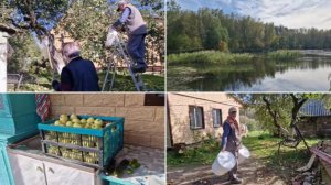 СОБРАЛИ ЯБЛОКИ И СЪЕЗДИЛИ В ГОРОД ЗА БАКАМИ.