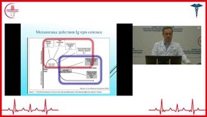 Малышев М.Е. Алгоритмы диагностики сепсиса 19.09.2025