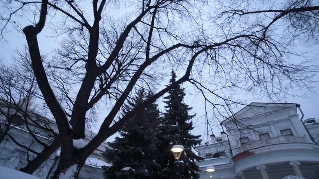 Видеопоэзия. Игорь Волгин ПАМЯТИ Е. Е.