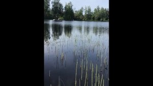 Ленобласть, Хвойное, река Вуокса. Утро. К порогам с троллингом