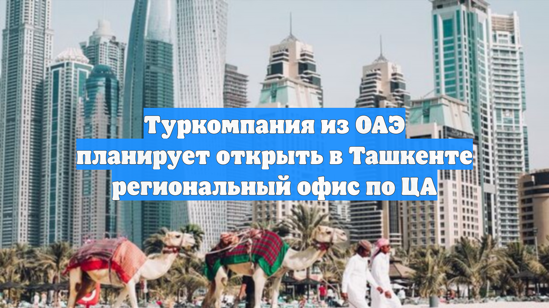 Туркомпания из ОАЭ планирует открыть в Ташкенте региональный офис по ЦА
