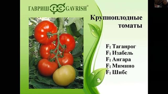 Профессиональные семена овощных культур от Гавриш